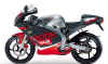 Aprilia RS125.jpg (29227 bytes)