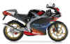 Aprilia RS 50 2003.jpg (24039 bytes)