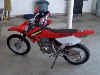 Honda xr80.jpg (46625 bytes)