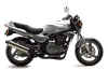 Kawasaki ER5 for sale