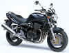 Suzuki Bandit 1200.jpg (36681 bytes)