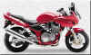 Suzuki_bandit_600.jpg (23901 bytes)