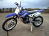 TX 125cc Dirt Bike.jpg (59802 bytes)